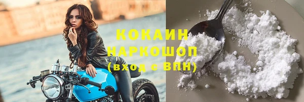 хмурый Белокуриха