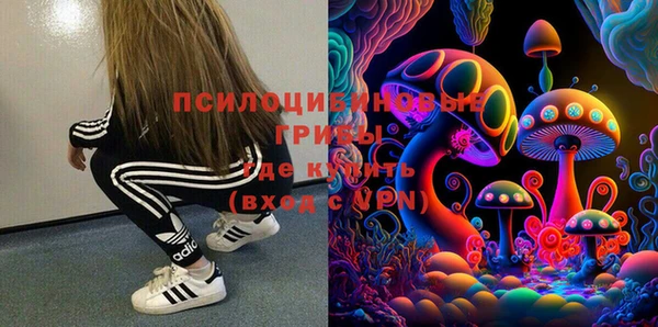 хмурый Белокуриха