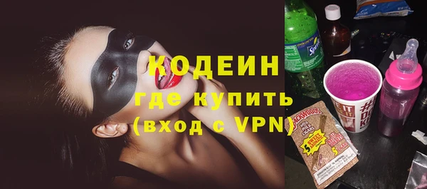хмурый Белокуриха