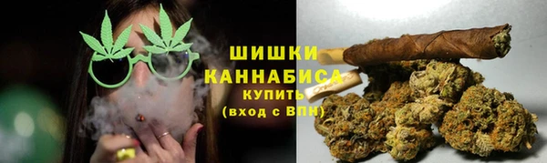 хмурый Белокуриха