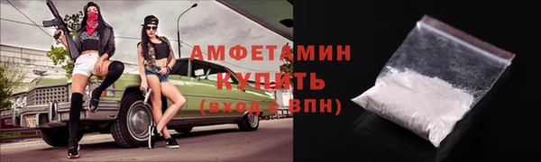хмурый Белокуриха