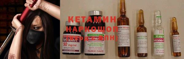 хмурый Белокуриха