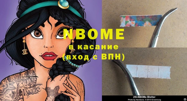 хмурый Белокуриха