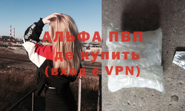 хмурый Белокуриха
