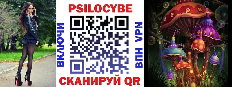 Купить где  Гуково  Псилоцибиновые грибы Cubensis 